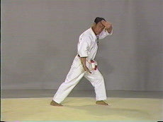 Isshin Ryu Karate 10 DVD Set by Angi Ueza - Budovideos Inc