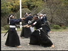 Tennen Rishin Ryu DVD (Shin Sen Gumi) - Budovideos Inc