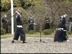 Tennen Rishin Ryu DVD (Shin Sen Gumi) - Budovideos Inc