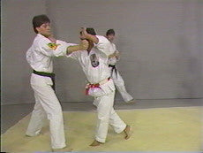 Isshin Ryu Karate 10 DVD Set by Angi Ueza - Budovideos Inc