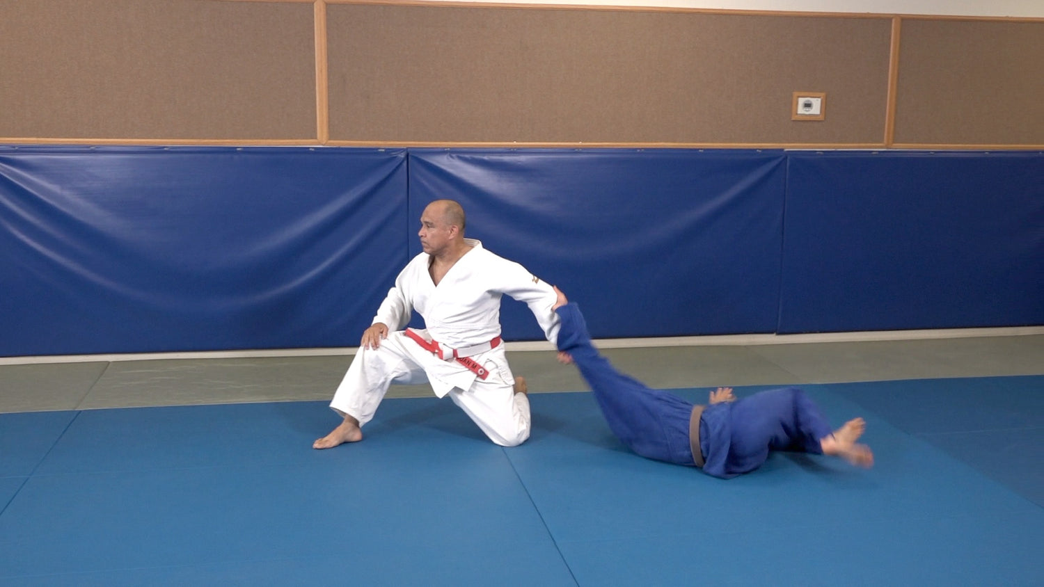 67 Throws of Kodokan Judo by Juan Montenegro (On Demand) - Budovideos Inc