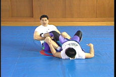 Joint Lock Encyclopedia DVD by Hidetaka Aso - Budovideos Inc