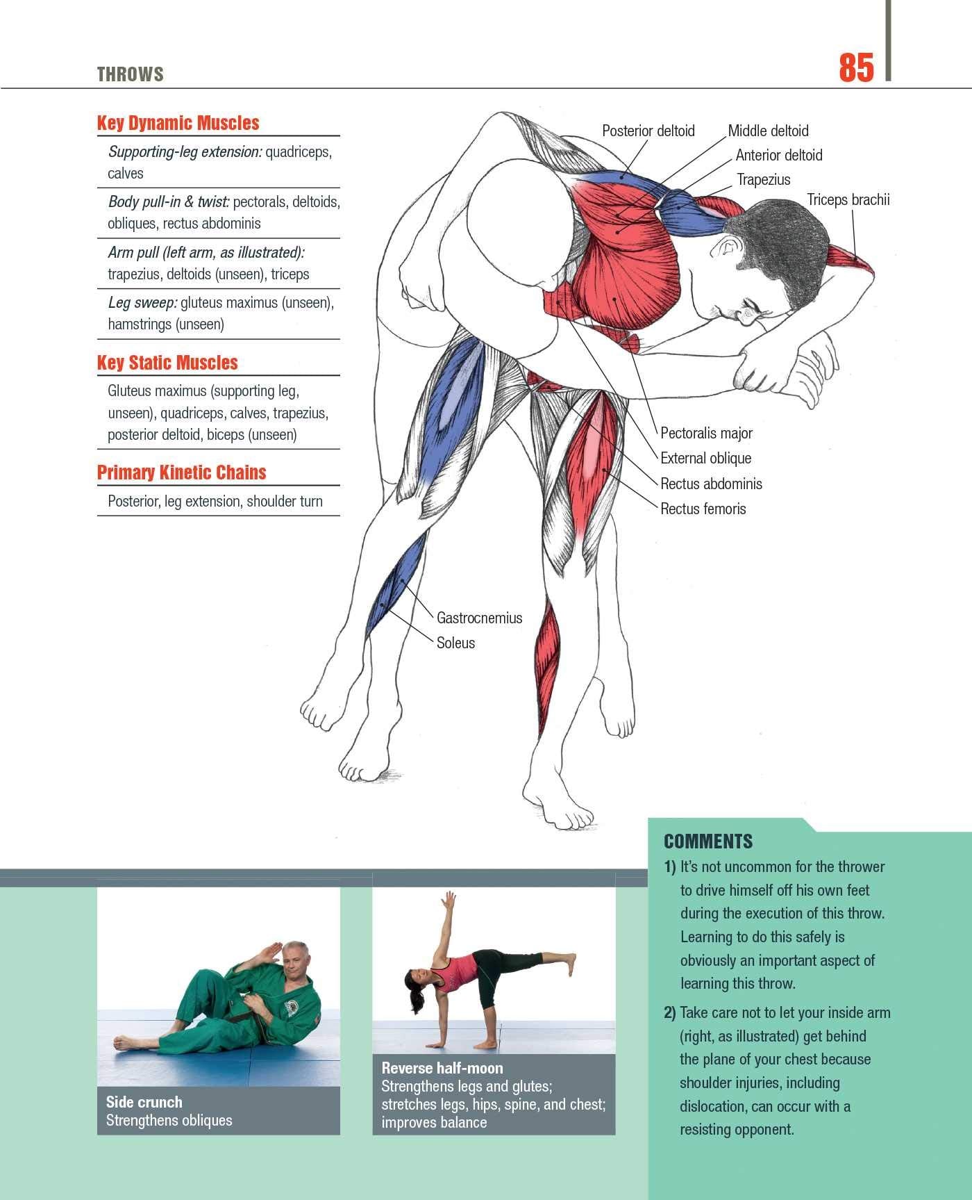 The Anatomy of Martial Arts: An Illustrated Guide to the Muscles Used for Each Strike, Kick, and Throw Book