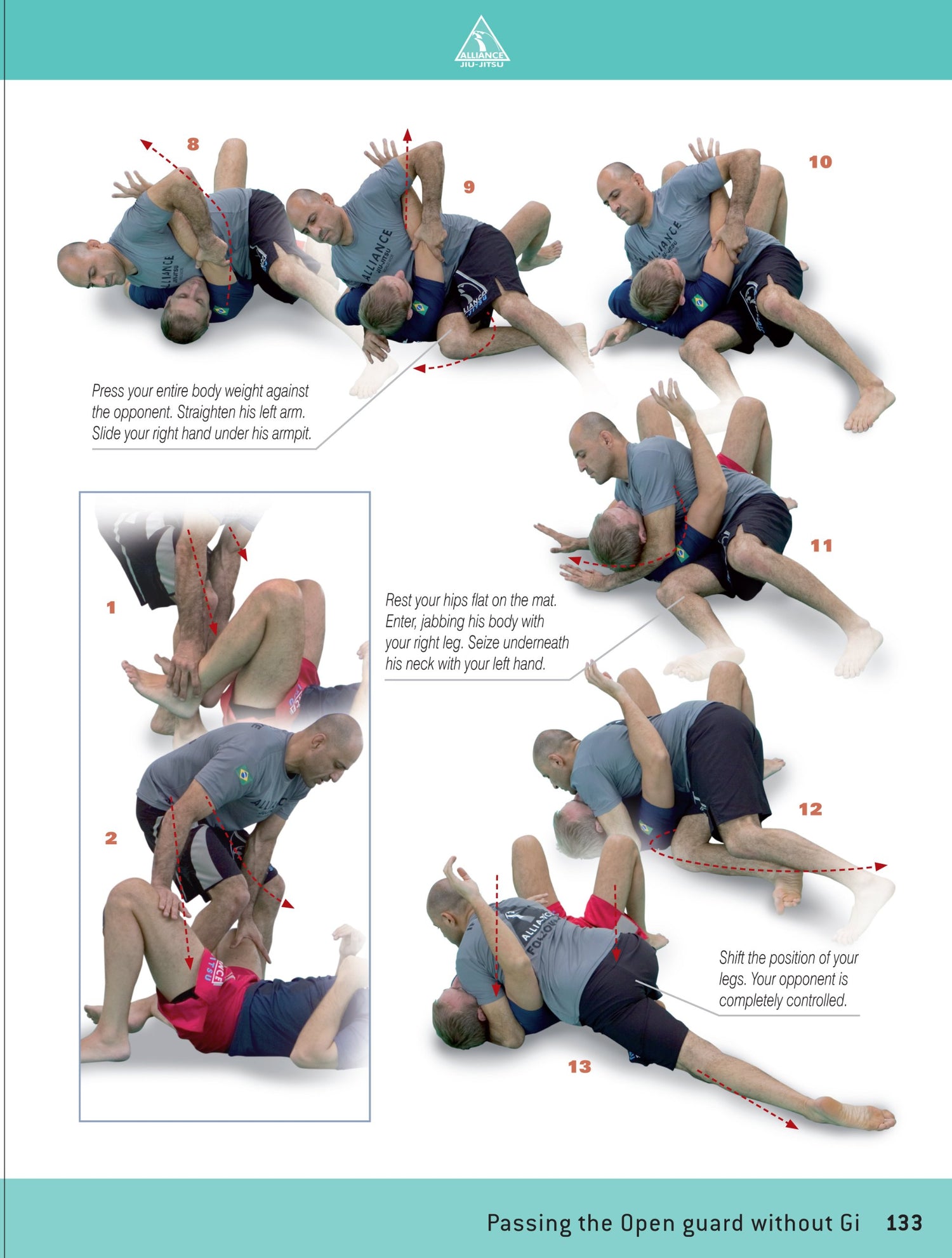 Brazilian Jiu-Jitsu: The Ultimate Guide to Dominating BJJ & MMA Book by Alexandre Paiva - Budovideos