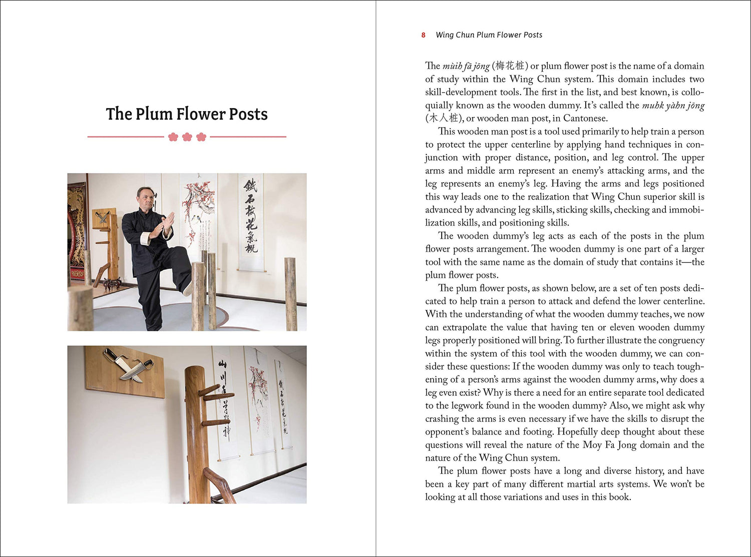 Wing Chun Plum Flower Posts: Advancing the Legwork of the Wooden Dummy Book by Wayne Belonoha - Budovideos Inc