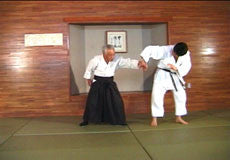 Aikido by Kiyoyuki Terada DVD - Budovideos Inc
