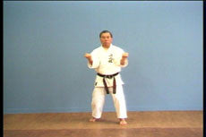 Complete Okinawa Yawara Ryu Karate Do Kata DVD by Kuniyuki Kai - Budovideos Inc