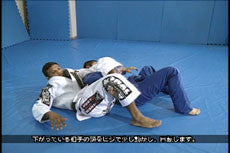 Super Jiu-Jitsu Techniques DVD with Bibiano Fernandes - Budovideos Inc