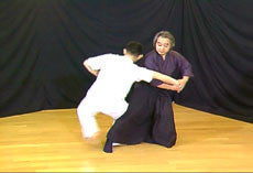 Principles of Yushin Ryu Bujutsu DVD by Shunya Nagano - Budovideos Inc