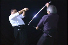 Principles of Yushin Ryu Bujutsu DVD by Shunya Nagano - Budovideos Inc
