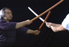 Principles of Yushin Ryu Bujutsu DVD by Shunya Nagano - Budovideos Inc