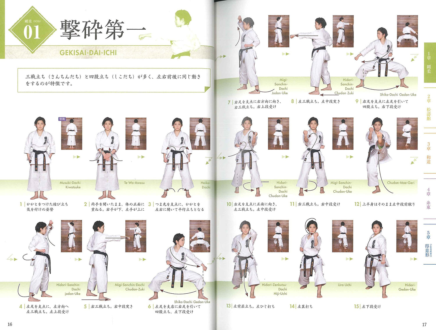 Basic Kata of 4 Major Schools of Karate Book & DVD by Rika Usami - Budovideos Inc