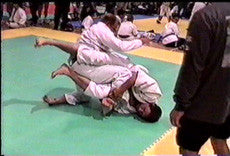 Dynamic Kneebars: The Definitive DVD by Stephan Kesting - Budovideos Inc