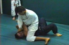 Gracie Jiu-jitsu In Action Vol 2 DVD - Budovideos Inc