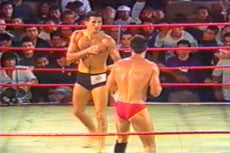 Gracie Jiu-jitsu In Action Vol 2 DVD - Budovideos Inc