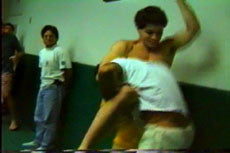 Gracie Jiu-jitsu In Action Vol 2 DVD - Budovideos Inc