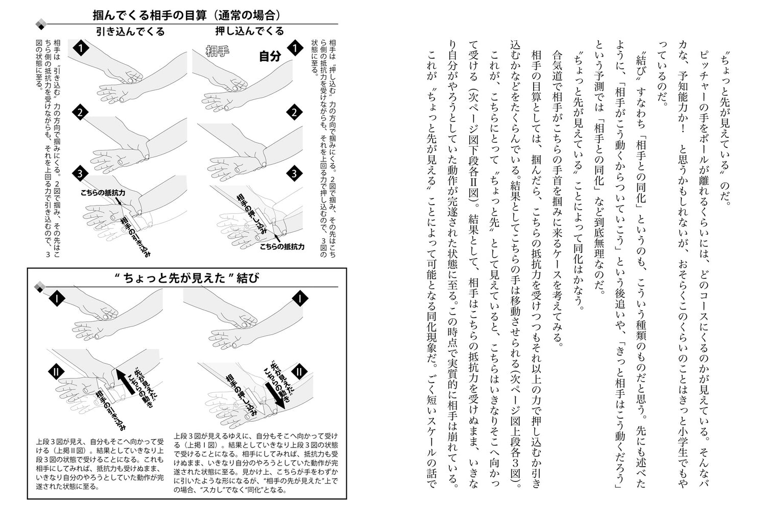 Amazing Techniques of Aikido Book by Satoshi Kondo - Budovideos Inc