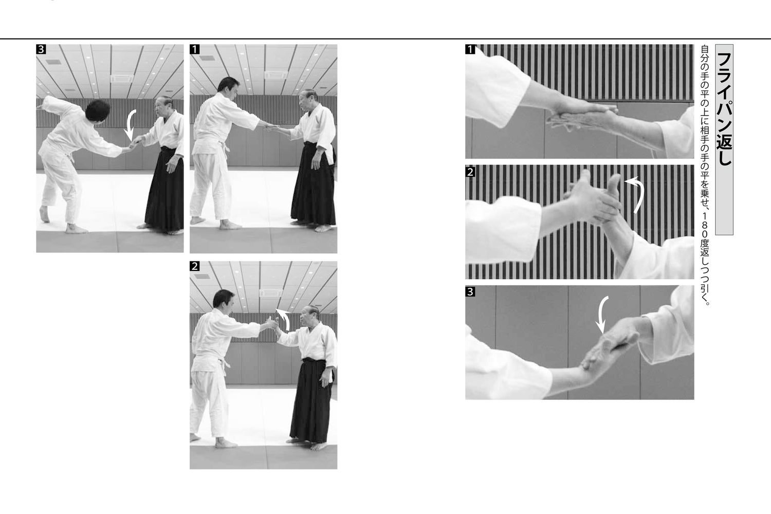 Aiki Techniques that Anyone can do Book by Yoshiji Yuzawa