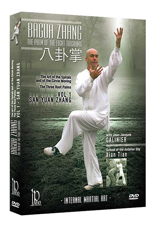 Bagua Zhang San Yuan Zhang Jean-Jacques Galinier (On Demand)