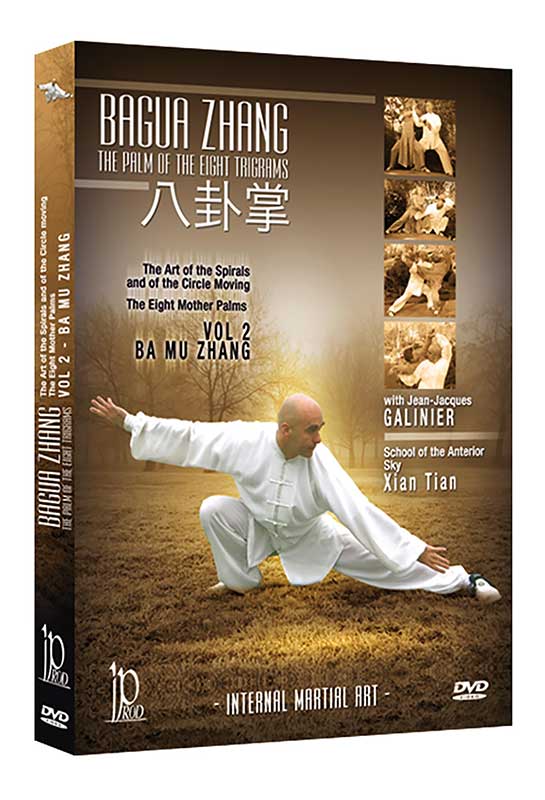 Bagua Zhang San Yuan Zhang Vol 2 (On Demand)