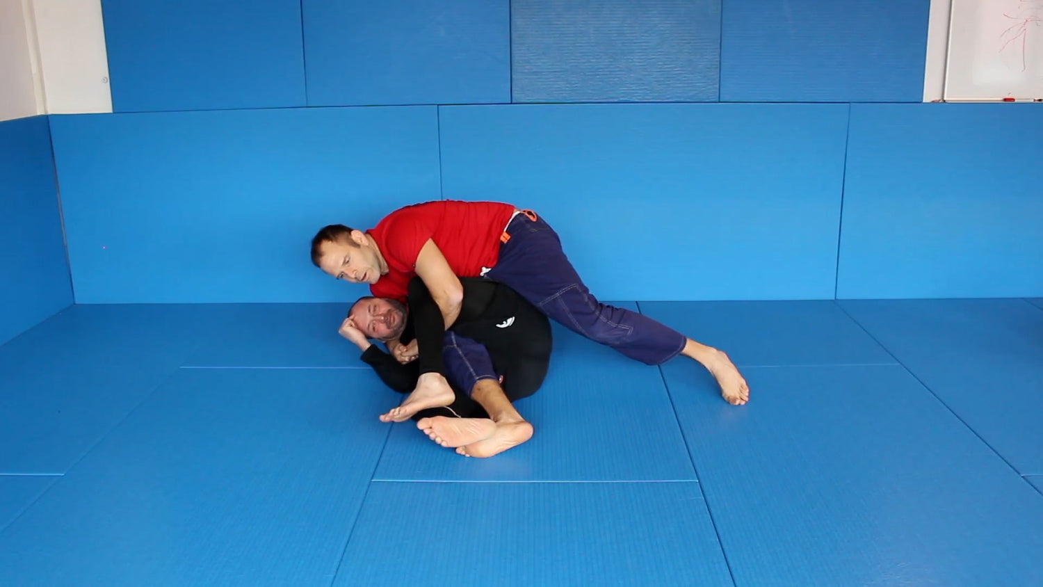 The Jiu Jitsu Cradle 2 DVD Bjorn Friedrich (On Demand) - Budovideos