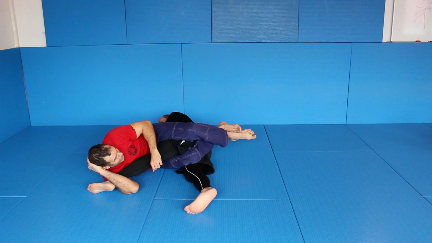 The Jiu Jitsu Cradle 2 DVD Bjorn Friedrich (On Demand) - Budovideos