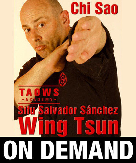 Chi Sao Wing Tsun TAOWS Academy by Salvador Sanchez (On Demand) - Budovideos Inc