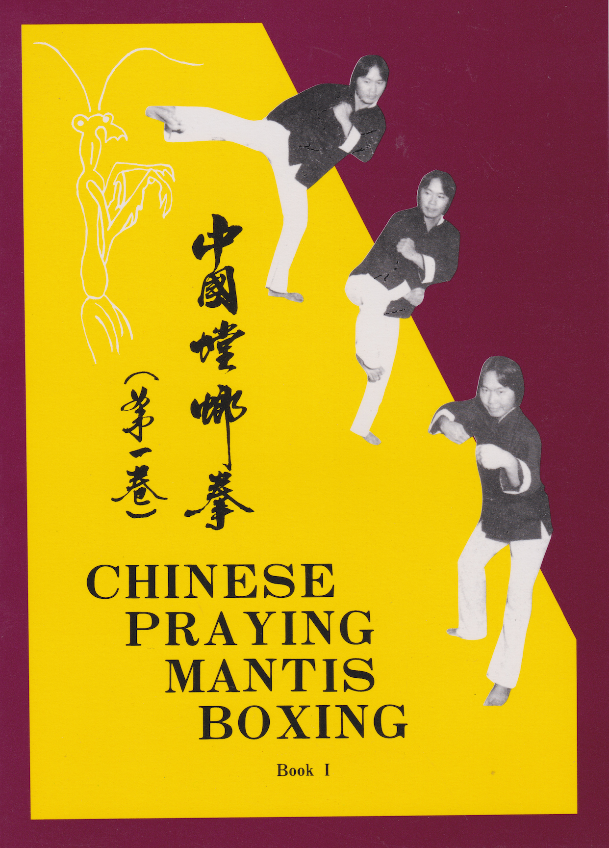 Chinese Praying Mantis Boxing Book I by HC Chao