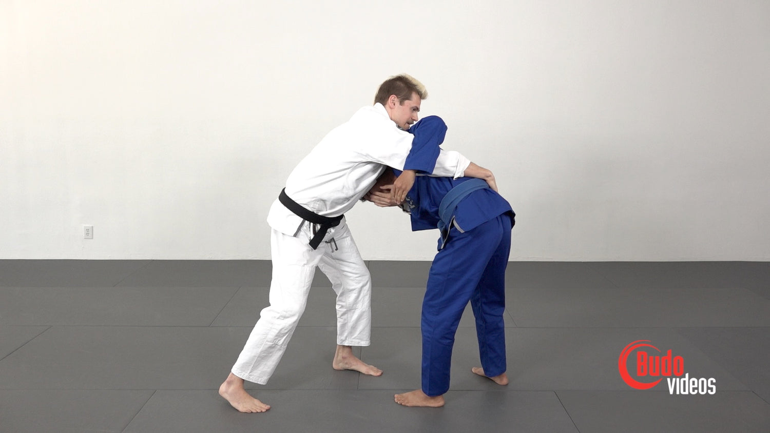 Cow Catch Em All by AJ Albert (On Demand) - Budovideos Inc