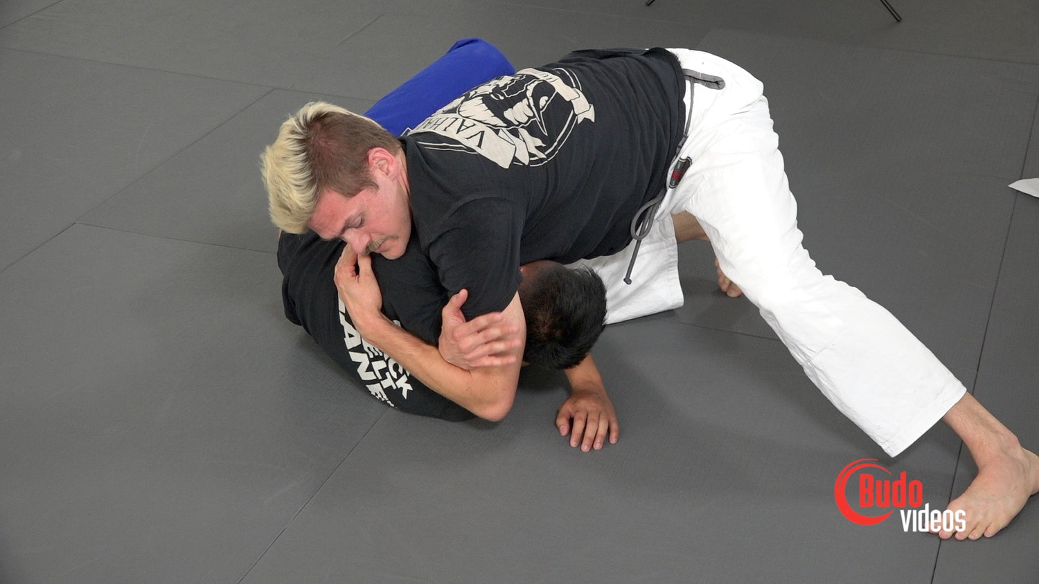 Cow Catch Em All by AJ Albert (On Demand) - Budovideos Inc