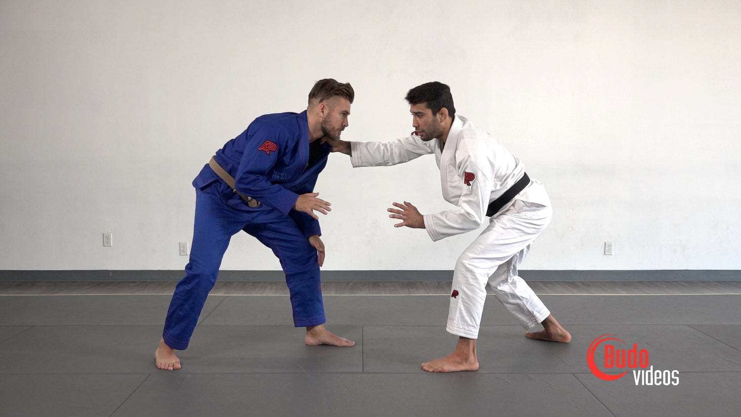 El Arte Suave: Basic Jiu-Jitsu by Francisco Sinistro Iturralde (On Demand) - Budovideos Inc