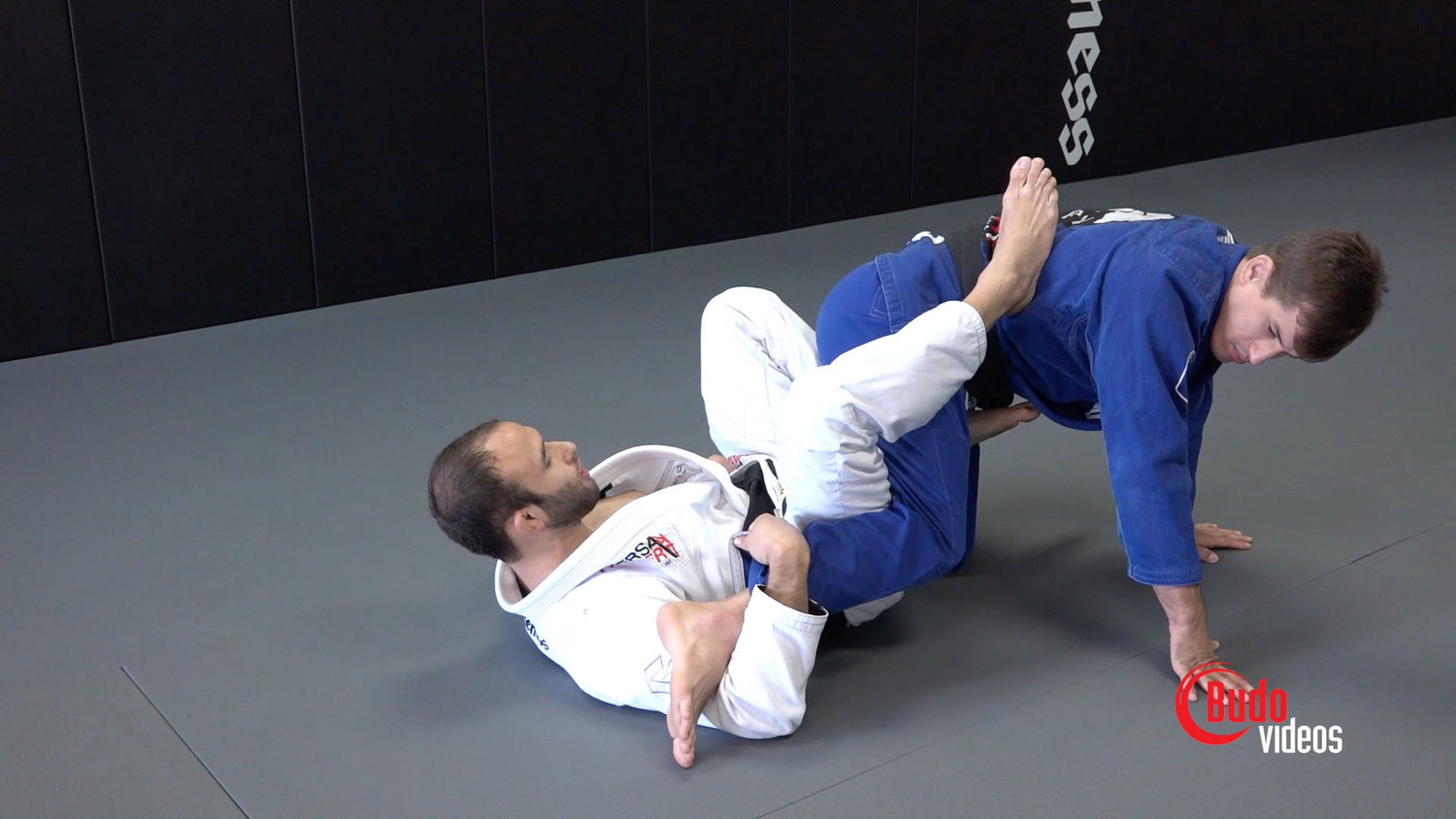 The Hip Clamp by Samir Chantre (On Demand) - Budovideos Inc