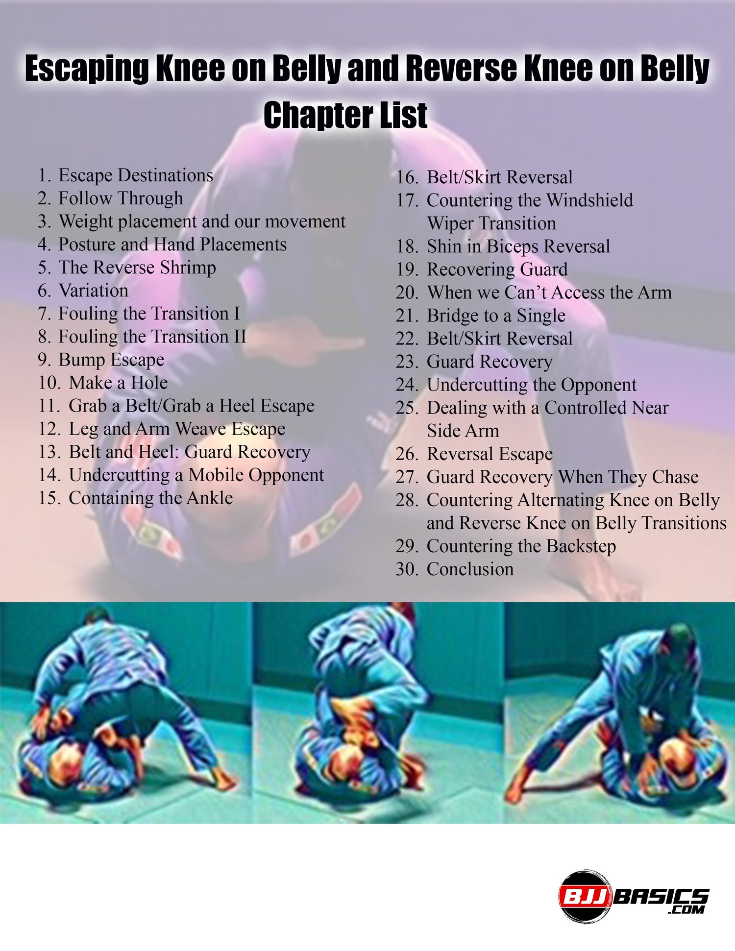 Escaping Knee on Belly and Reverse Knee on Belly with Ante Dzolic (On Demand) - Budovideos Inc