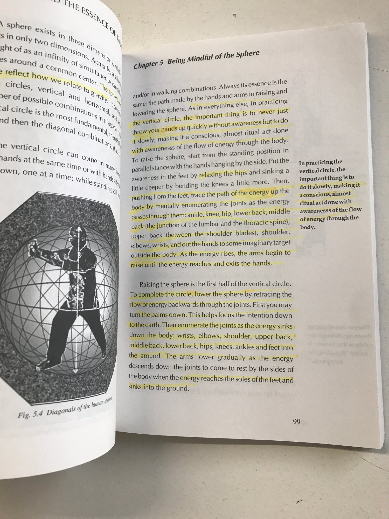 Warriors of Stillness: Meditative Traditions in the Chinese Martial Arts Book by Jan Diepersloot (Preowned) (READ) - Budovideos Inc