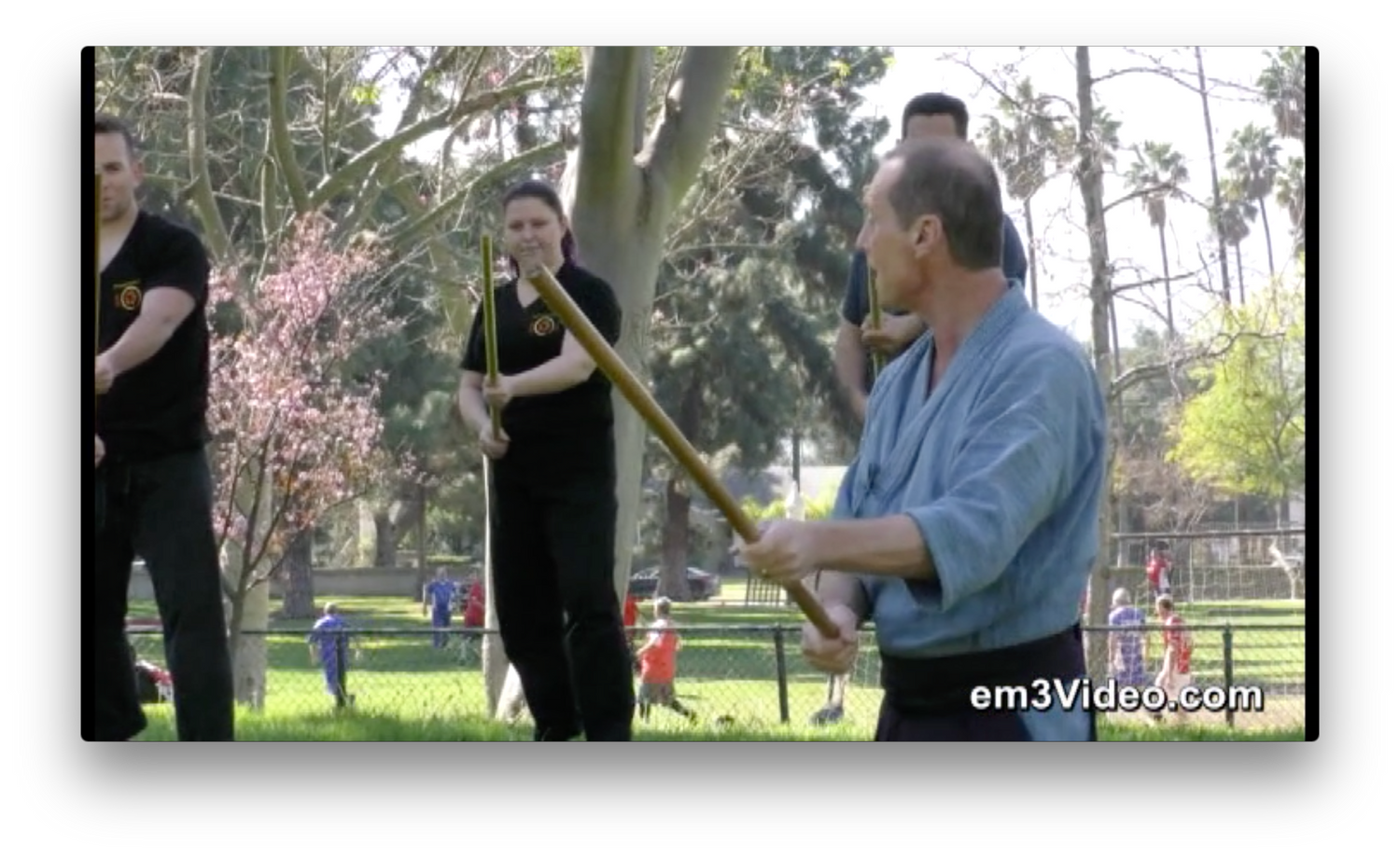 JODO Way of the Stick by Michael Belzer (On Demand) - Budovideos Inc