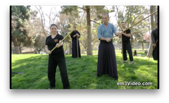 JODO Way of the Stick by Michael Belzer (On Demand) - Budovideos Inc