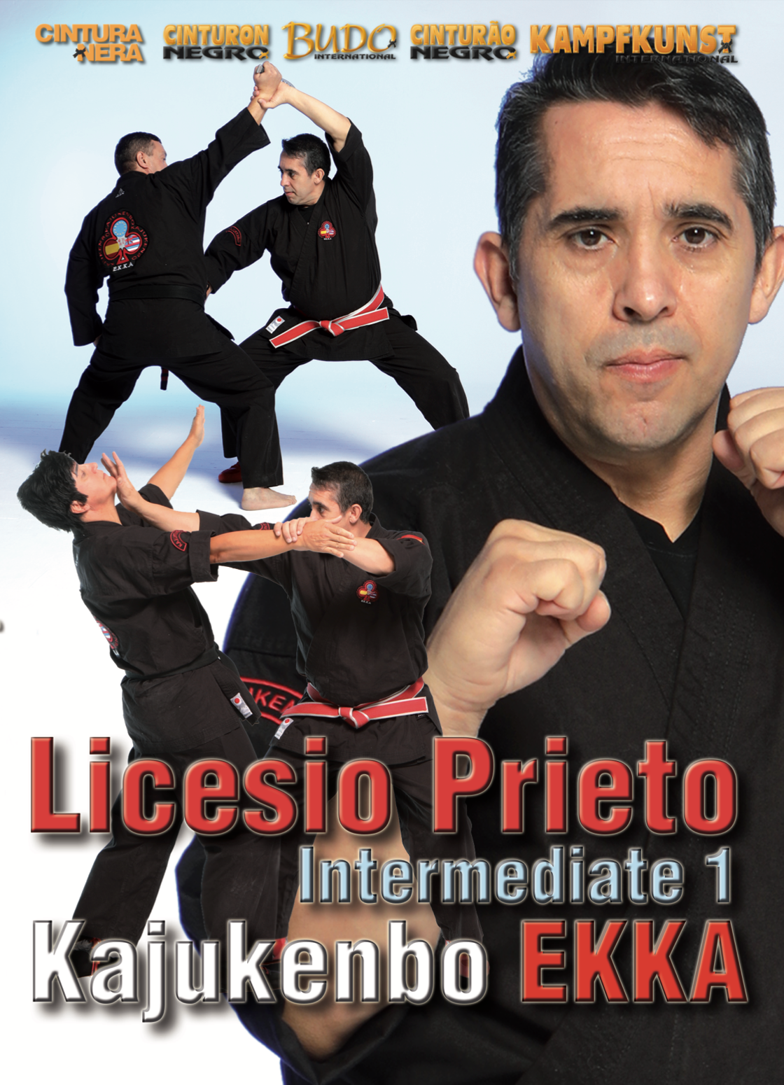 Kajukenbo Essential Intermediate 1 DVD with Licesio Prieto