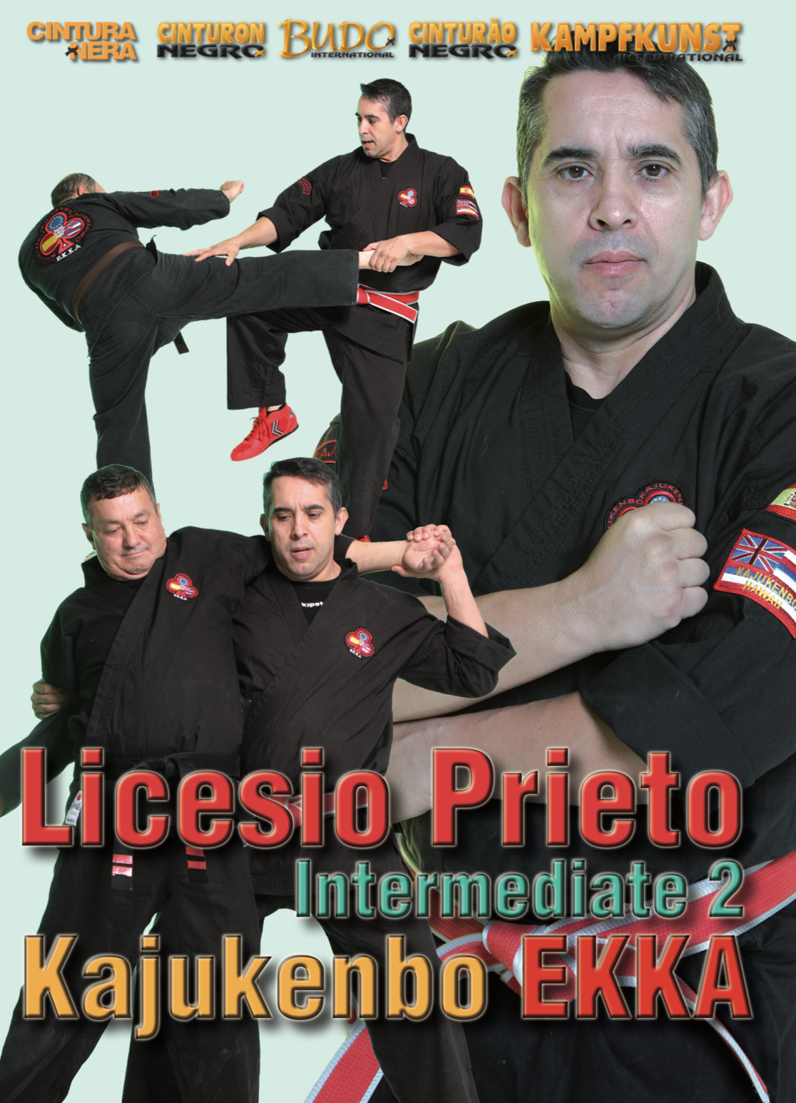 Kajukenbo Essential Intermediate 2 DVD with Licesio Prieto