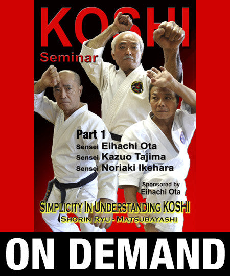 Koshi Shorin Ryu Karate Seminar Vol-1 by Eihachi Ota (On Demand) - Budovideos Inc