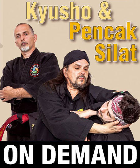 Kyusho & Pencak Silat 3 Gianluca Frisan (On Demand) - Budovideos Inc