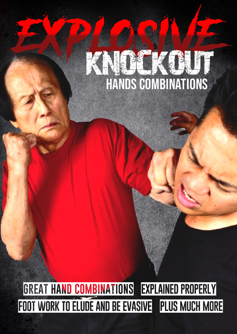 Explosive Knockout Hands Combinations DVD by Leo Fong - Budovideos