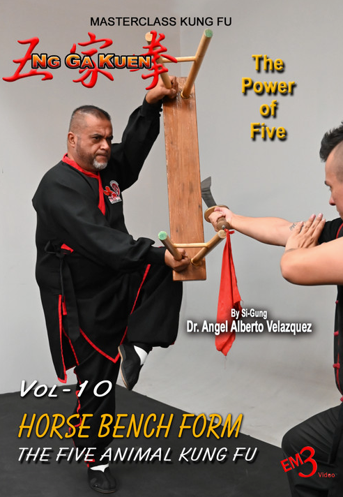 Ng Ga Kuen Vol 10 DVD HORSE BENCH FORM by Angel Velazquez