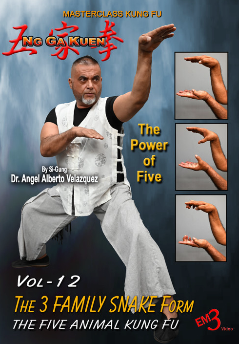 Ng Ga Kuen Vol 12 DVD The 3 FAMILY SNAKE FORM by Angel Velazquez