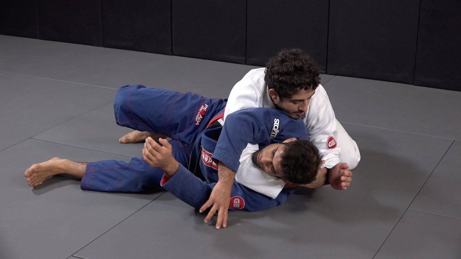 Reverse Half Guard 2 DVD Set by Philipe Della Monica - Budovideos Inc