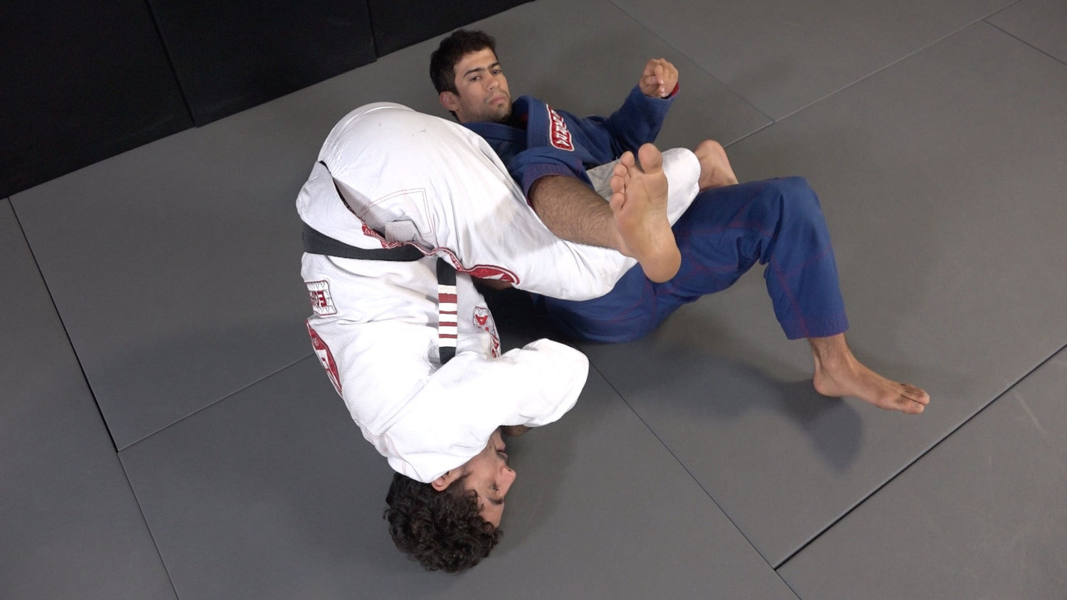 Reverse Half Guard 2 DVD Set by Philipe Della Monica - Budovideos Inc