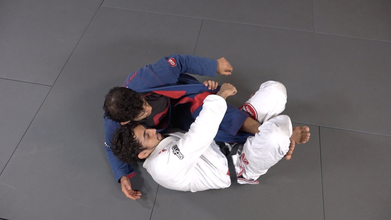 Reverse Half Guard 2 DVD Set by Philipe Della Monica - Budovideos Inc