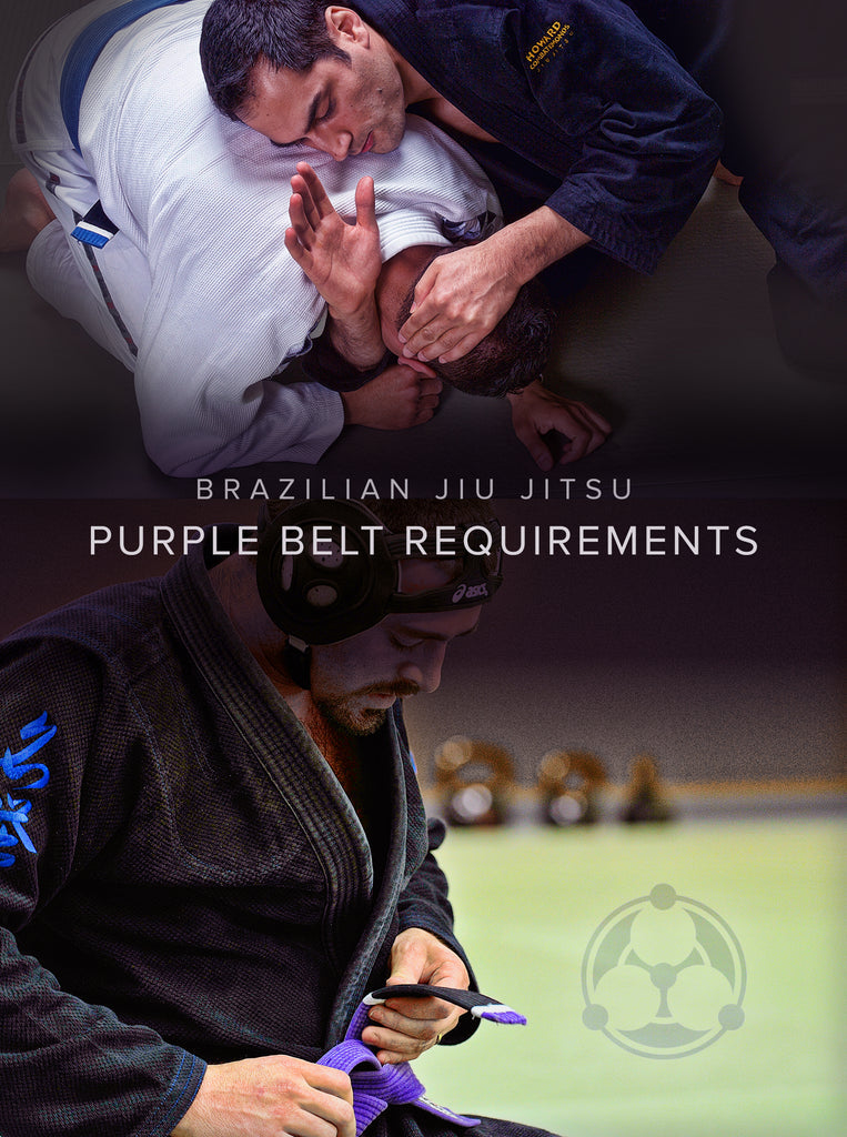 Brazilian Jiu Jitsu Purple Belt Requirements 2 DVD Set by Roy Dean (Preowned)