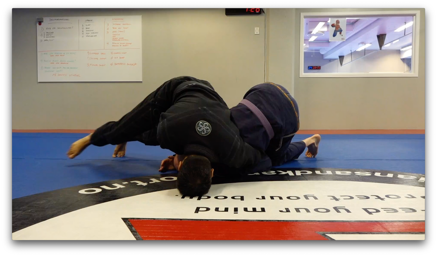 Travels: BJJ Seminars Around the World by Roy Dean (On Demand) - Budovideos Inc