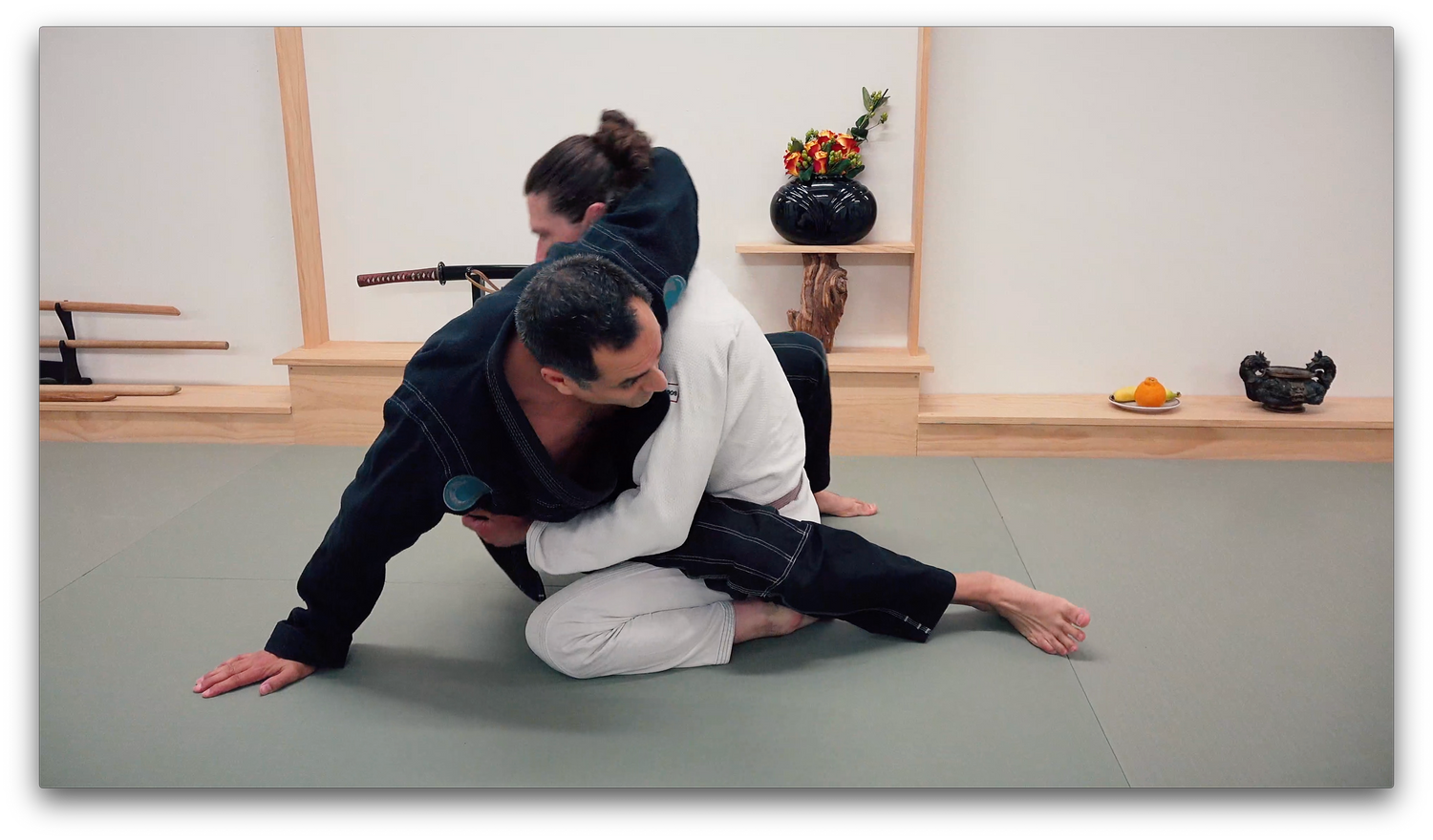 Travels: BJJ Seminars Around the World by Roy Dean (On Demand) - Budovideos Inc