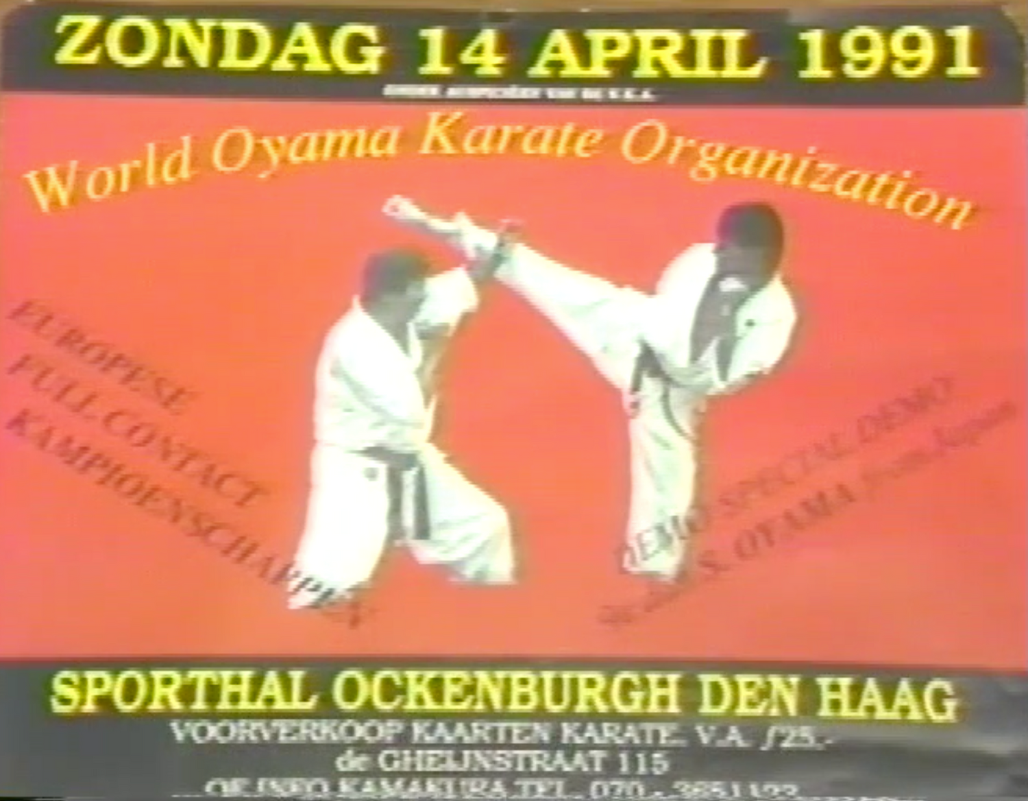 1991 World Oyama Karate Dutch Fighting Championships 2 DVD Set (Preowned) - Budovideos Inc